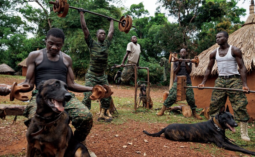 Members of the Ugandan army's dog-tracking team lift weights at the African Union base in Obo, Central African Republic. The dogs are Belgian Malinois shepherds, famed for their use in military operations, especially in tough conditions like the dense central African bush.