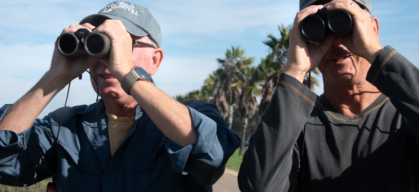 Rick Grove, left, and David Trissel — two of San Diego County's top birders — spot birds near Robb Field in Ocean Beach on Dec. 18, 2025.