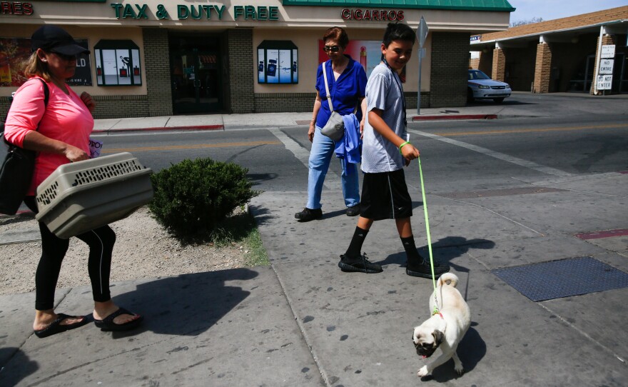 Liliana Figueroa and her son Alexander, 12, walk their pug, Michelle, back across the border. Michelle was in Mexico for a visit to the vet — for some stitches to mend her torn lip.