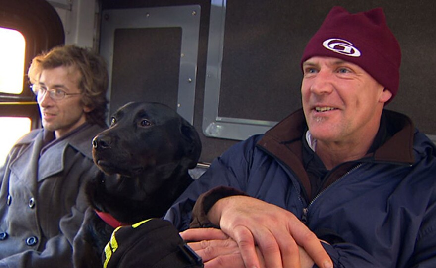 A black Labrador named Eclipse rides between two fellow passengers on her way to a dog park in Seattle. Her owner says he catches up with Eclipse at the park if she goes on without him.