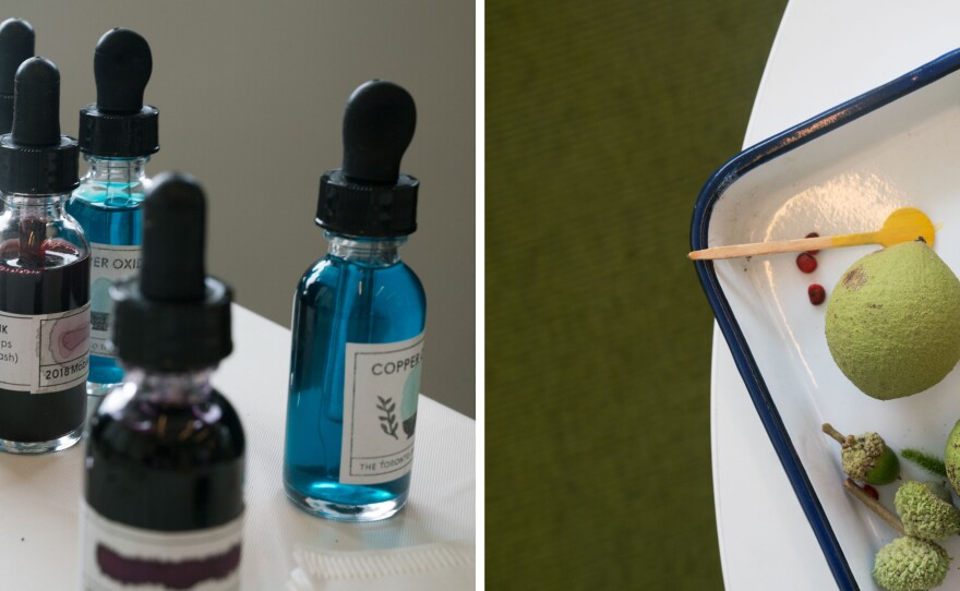 (Left) An assortment of natural inks from the Toronto Ink Company. (Right) Black walnuts that were picked by Jason Logan in Washington, D.C., can be boiled down to a rich brown ink, while a bright yellow ink can be made in a few minutes out of turmeric and vodka.