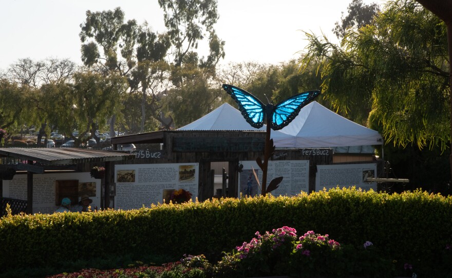 Alex Heveri's blue morpho butterfly at The Flower Fields at Carlsbad Ranch, March 19, 2025.