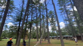 Researchers from Sapien Labs and UC San Diego Health found improvements in mental well-being among teens who spent several weeks at a device-free summer camp in Maine.