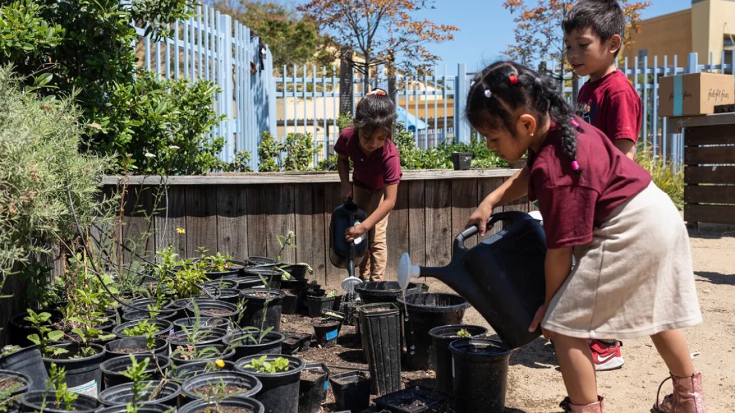 Students plant succulents at the César E. Chávez Education Center’s living schoolyard on April 29, 2024 in Oakland, CA.