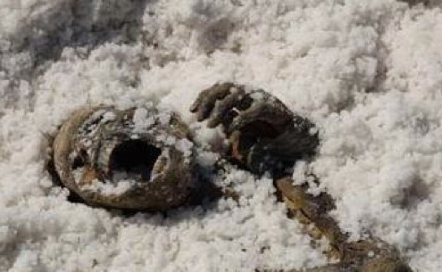 One of the murder victims in "Bajo la Sal"