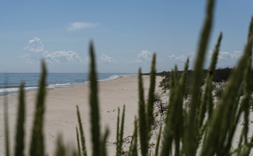 A view of the Black Sea from Tuzla Lagoons National Nature Park. Destroyed vessels in the sea are one of the most immediate concerns identified by the state agency.