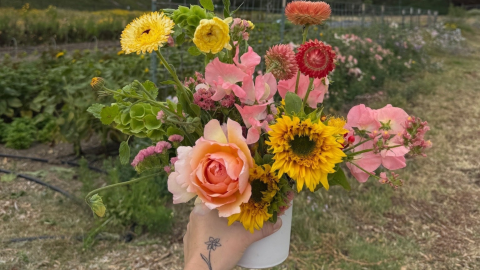 Local Flower Arranging 101 Workshop + Farm Tour - Image of a floral arrangement held up in front of rows of small crops