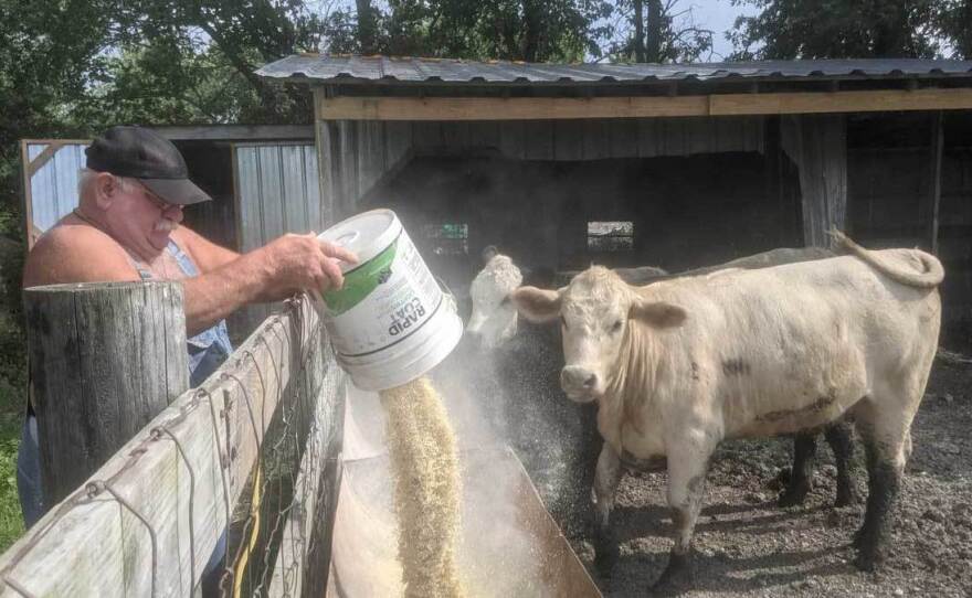 Larry Lieb, 69, feeds the cattle on his farm in Mode, Ill., on July 8. He says he feels safer having gotten the coronavirus vaccine. But he's not interested in trying to convince anyone else to get it.