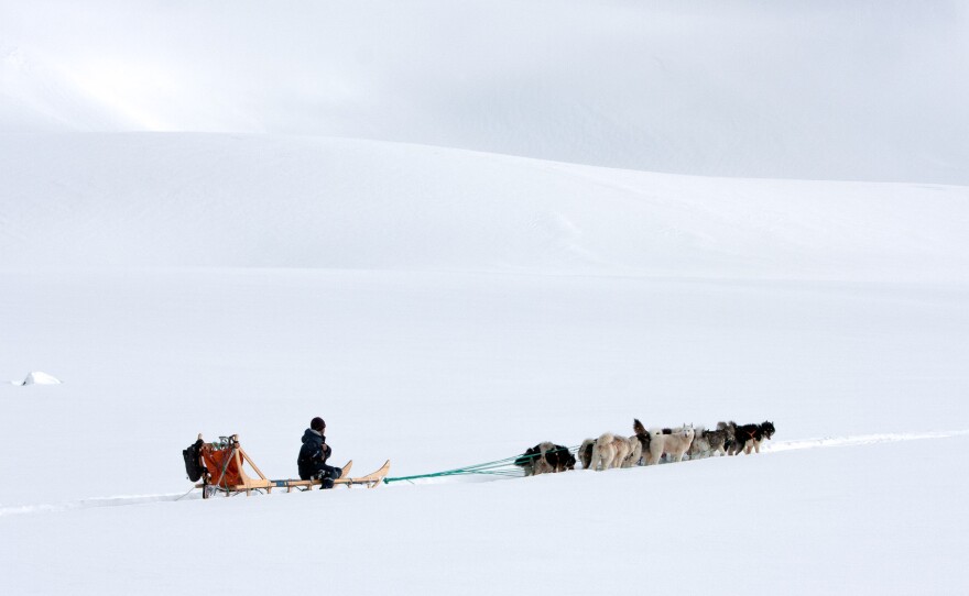 A sled dog team travels over a glacier outside Tiniteqilaaq.