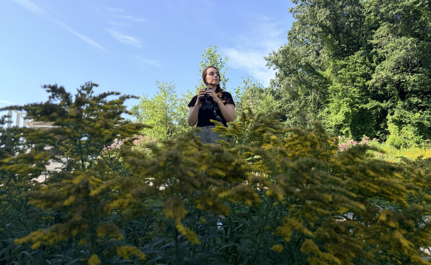 Olivia Sanderfoot of Cornell University is trying to understand how the smoke billowing off of wildfires is bothering birds — and what can be done to prevent that harm.