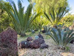 'Majestic Gardens of Historic Marston Hills'