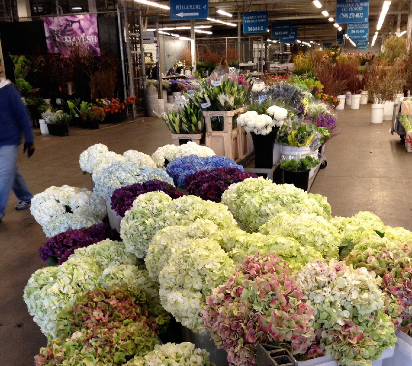 Floral Trade Center, Carlsbad, Calif.