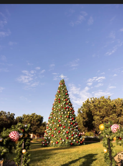 Annual Tree Lighting Ceremony at Fairmont Grand Del Mar