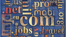 The Internet Corporation for Assigned Names and Numbers, known as ICANN, is forging ahead with plans to sell new domain categories despite vocal opposition. The decision raises questions about who should govern the Internet.