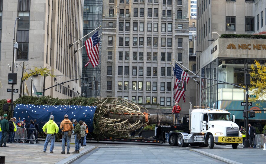 New York City ushered in the holiday season with the arrival of the Norway spruce that will serve as one of the world's most famous Christmas trees.