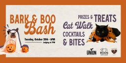 Bark and Boo Bash. A flyer with photos of a cat and dog in Halloween costumes.