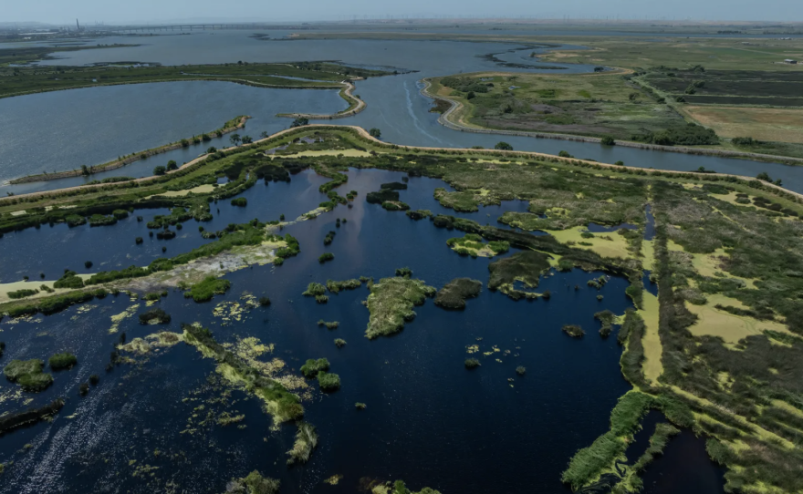 Una vista aérea de Threemile Slough en el delta del río Sacramento-San Joaquín cerca de Rio Vista el 19 de mayo de 2024. El delta está formado por la confluencia de los ríos Sacramento y San Joaquín antes de que sus aguas desemboquen en San Francisco Bay. Foto de Loren Elliott para CalMatters