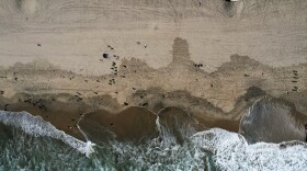 An aerial file photo taken with a drone shows beachgoers as workers in protective suits continue to clean the contaminated beach in Huntington Beach, Calif., Oct. 11, 2021.