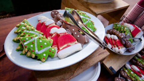 Holiday Cookie Decorating