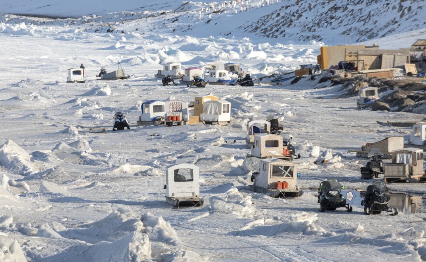 As spring camping season approaches, the shoreline of Arctic Bay becomes a parking lot for qamutiks — traditional sleds that family members will fill with gear and food for extended trips for hunting and camping.