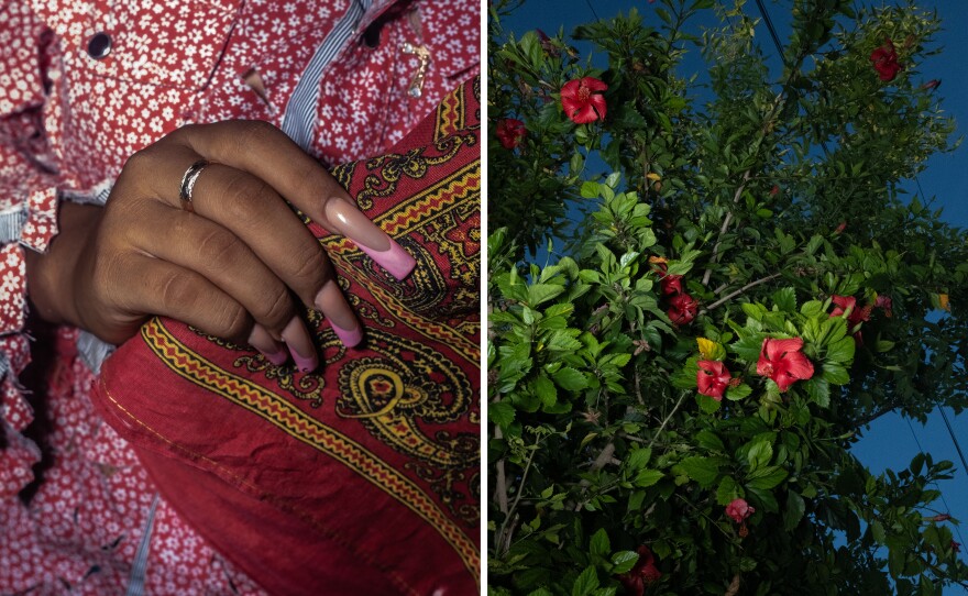 Detail of the hand of a dancer of the Diablos dance and a Mexican tulip tree in the garden overlooking the street at a house in Tamiahua, Veracruz, on July 21.