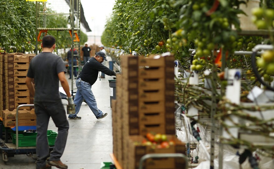 Wholesum Harvest made many changes as part of its fair-trade certification, including switching to carbon-neutral pallets and working to protect an endangered species of cactus.