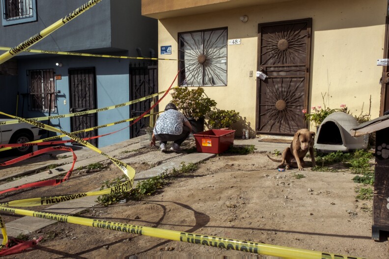 The driveway in Tijuana where journalist Lourdes Maldonado Lopez was gunned down is still wrapped in police tape, with here dog Chato who has refused to leave, eat or drink water since Maldonado's murder January 25, 2022.