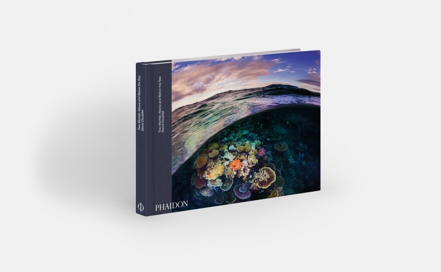 David Doubilet book <em>Two Worlds: Above and Below the Sea.</em>