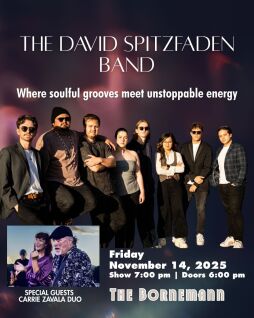 The David Spitzfaden Band
