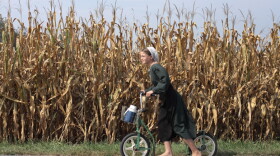 An Amish girl rides her foot push bike down the road.