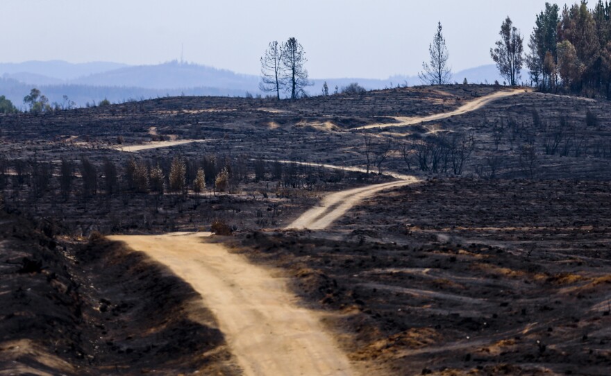 A road cuts through a landscape razed by wildfires in Cauquenes, Chile, on Feb. 2.