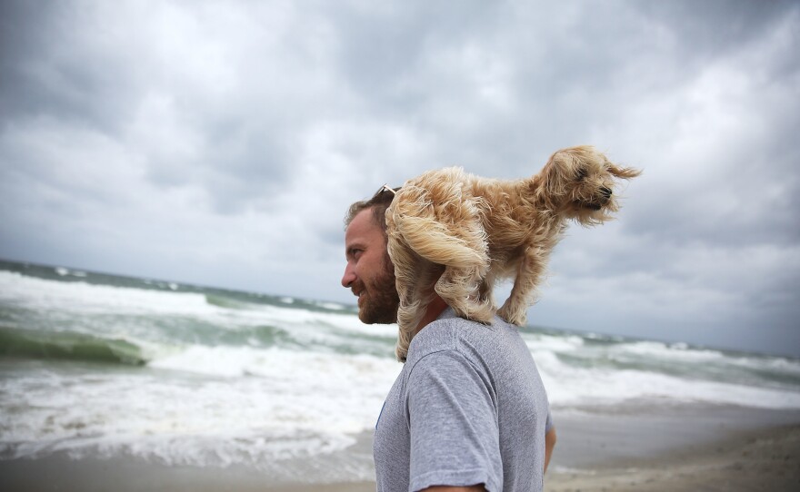 Ted Houston and his dog, Kermit, visit the beach in Palm Beach, Fla., as Hurricane Matthew approaches the area on Thursday.