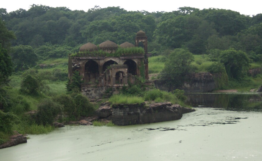 A view of Ranthambore National Park from atop the thousand-year-old fort that bears the same name. The park has been closed to visitors since the Supreme Court's ban on tourists in core areas of the country's 41 tiger reserves. A quarter-million visitors toured the park last year, and local businesses say the economy in the area will collapse if the ban is not lifted.