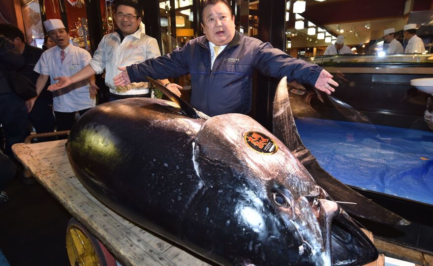 Kiyoshi Kimura, president of sushi restaurant chain Sushi Zanmai, displays a 612-pound bluefin tuna at one of his restaurants. The company he runs paid a record $3.1 million for the popular but threatened fish.
