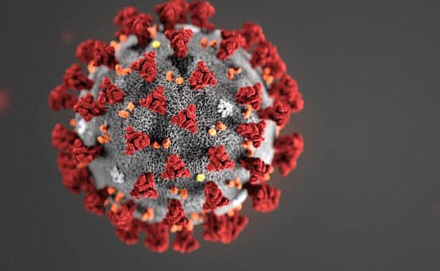 novel-coronavirus_t800.jpg