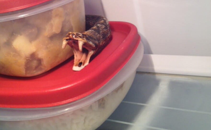 "Too darn funny what a co-worker put on top of her lunch. It was fake of course, but got the point across."