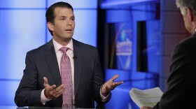 Donald Trump Jr. is interviewed by host Sean Hannity on his Fox News Channel television program, in New York Tuesday, July 11, 2017. 