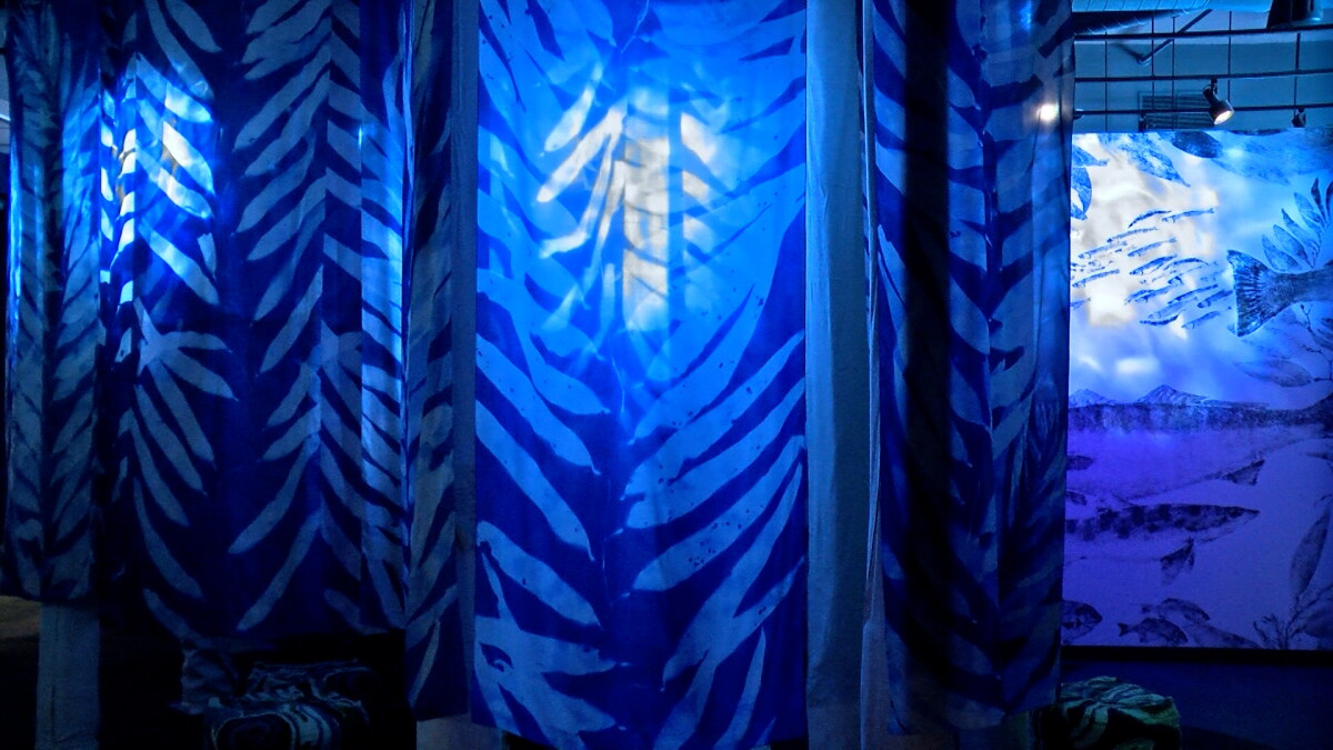 Beauty and tragedy of San Diego's kelp forest on display at the Birch Aquarium - Vimarsana News