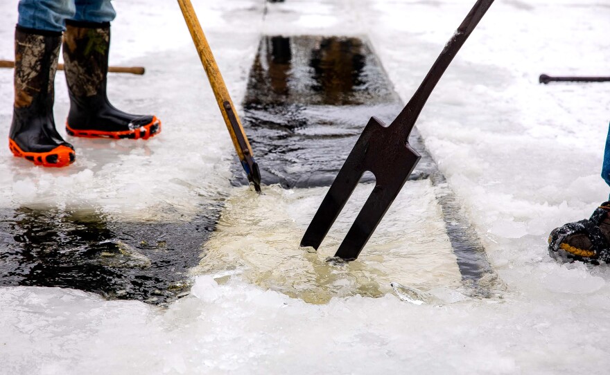 Pushing the ice along the open channel using an old fashioned pick pole.