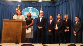 Sen. Toni Atkins announces the Gender Recognition Act, Jan. 26, 2017.