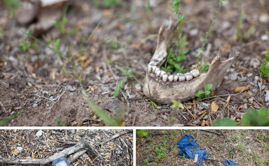 Part of a jaw is found along with an old cellphone and a blue shirt. Last year, the government counted 283 migrant deaths along the Southwest border, down from 471 in 2012. The numbers are trending down, but the bodies keep turning up.