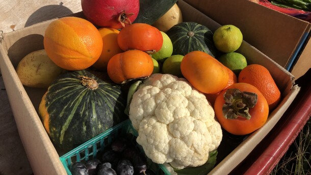 Fruits and vegetables are stacked inside of carboard boxes on a red wagon, Dec. 6, 2021.