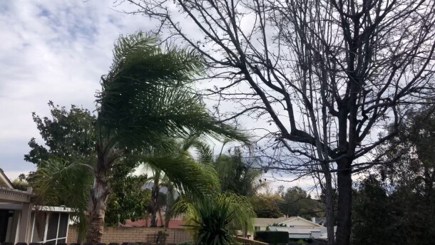 Santa Ana Winds swept through Rancho Bernardo on Friday morning.