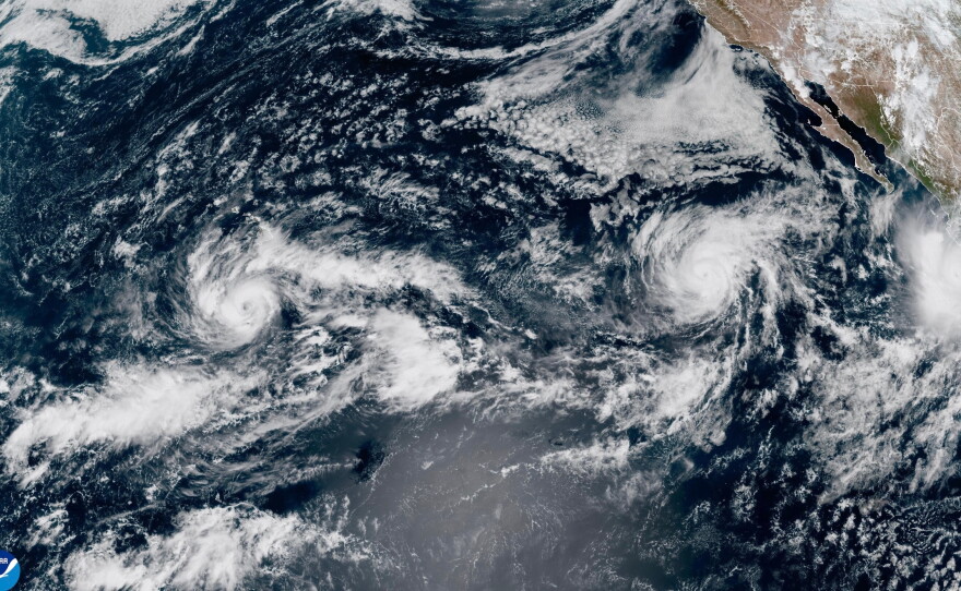 This satellite image from the National Oceanic and Atmospheric Administration shows three storms in the Pacific Ocean on Thursday, Sept. 24, 2026. Tropical Storm Nolo, left, is south of Hawaii. Hurricane Polo, right, is off the coast of Mexico. Hurricane Odalys is in the middle.