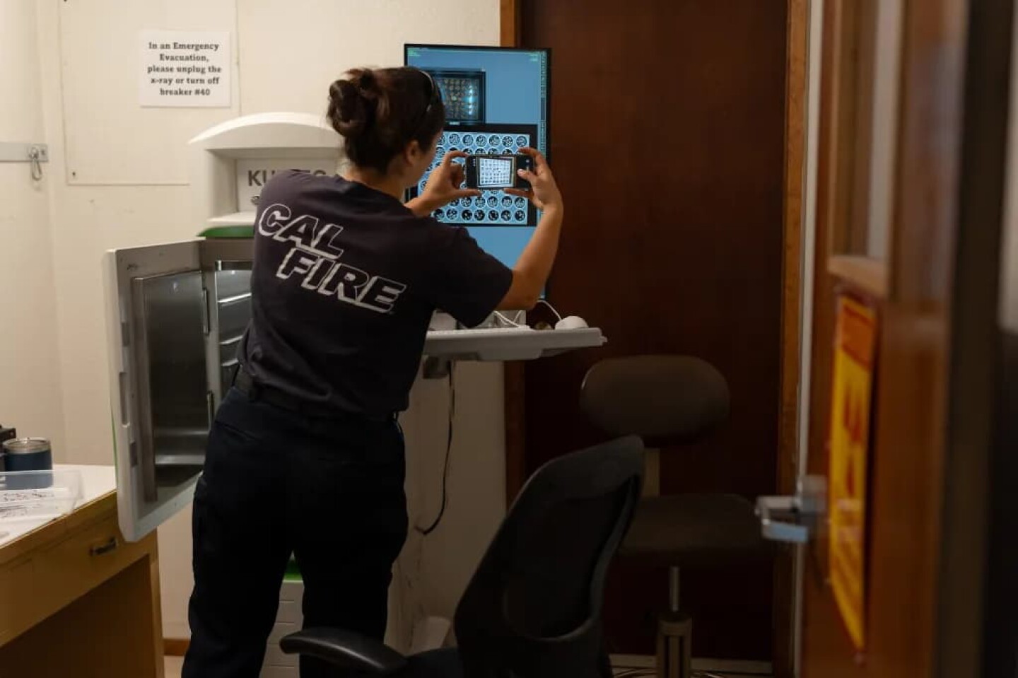 A sheet of Douglas fir seeds are scanned by x-ray for insect larvae by Lily Hessl, a Cal Fire forestry aide, at the Lewis A. Moran Reforestation Center in Davis on July 15, 2026.