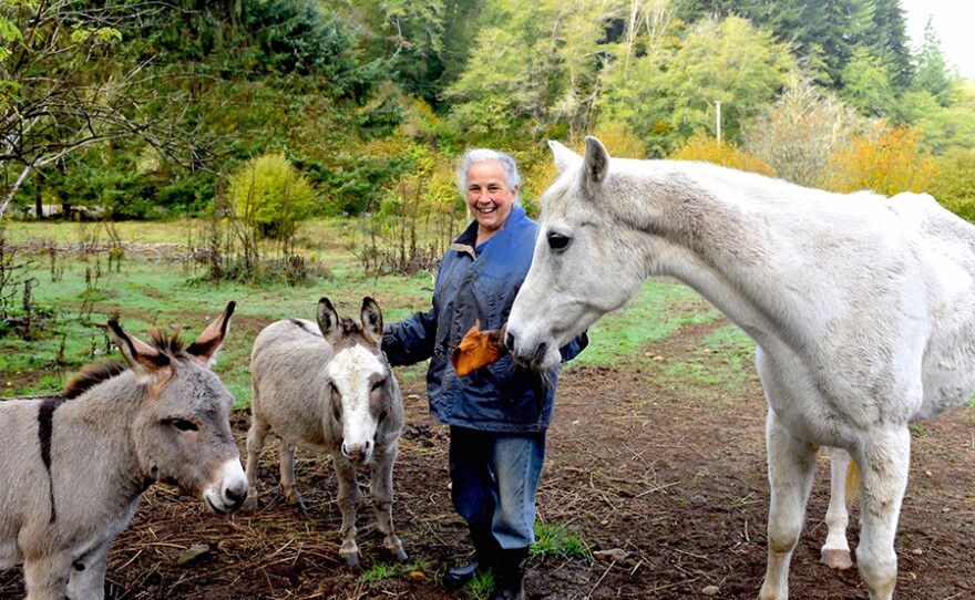 Carol Van Strum with her rescue donkeys and horse at her home in Ore.