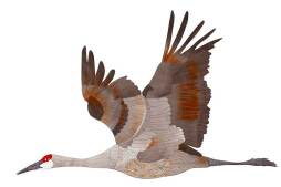 Crane1flying-charlotte-bird-cal.jpg