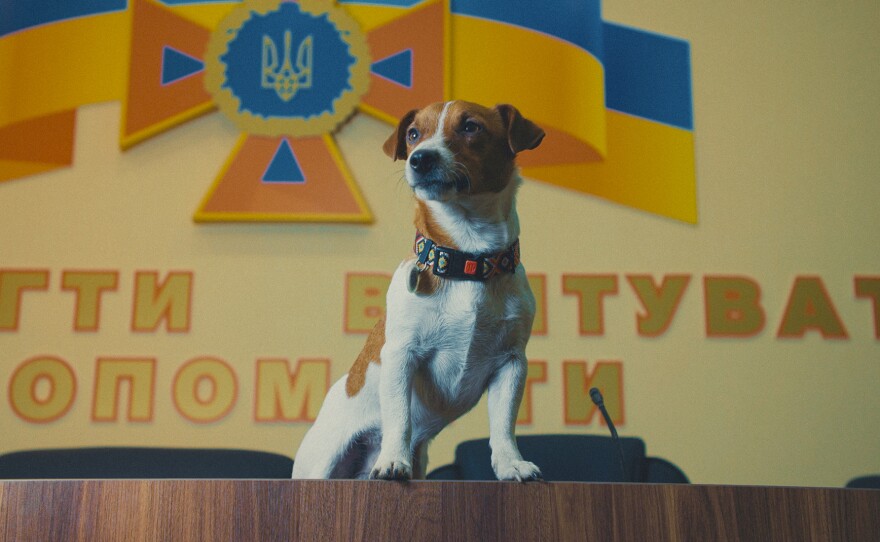 Patron, the mascot for the Ukrainian State Emergency Service, poses in front of the coat of arms of Ukraine.