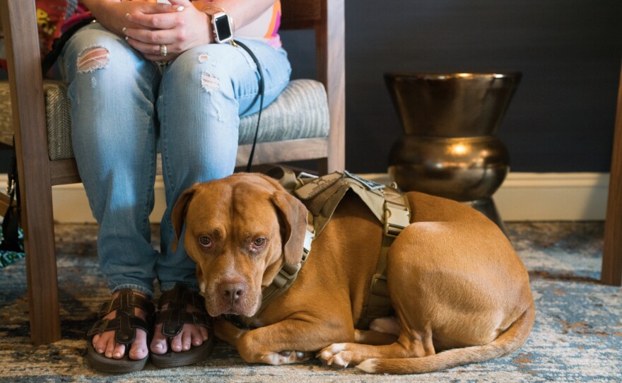 Brenda J. Faulkner, co-founder of The Truman Foundation, sits with her dog Truman at the Association of Service Dog Providers for Military Veterans annual conference in Tyson's Corner, Va.