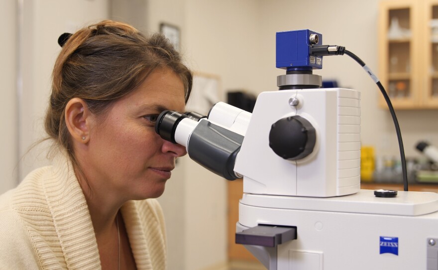 Michelle Trautwein, an entomologist at the California Academy of Sciences in San Francisco, tested more than 2,000 people and found DNA evidence of face mites on every single one of them.